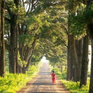 Deuil, continuer le chemin sans l’autre…