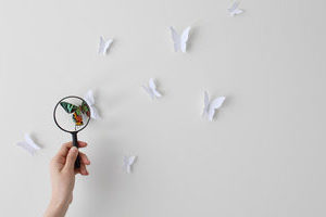 Matinée découverte - ANNULE